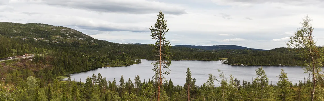 Utsikt mot Djupsjøen - sommer