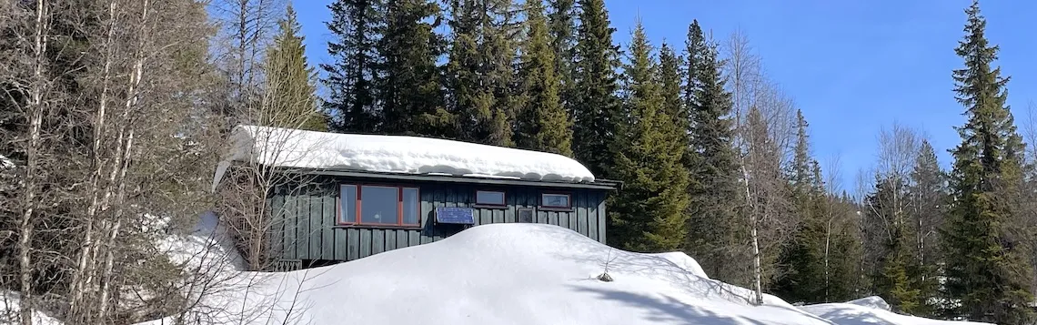 Eksisterende hytte på tomt