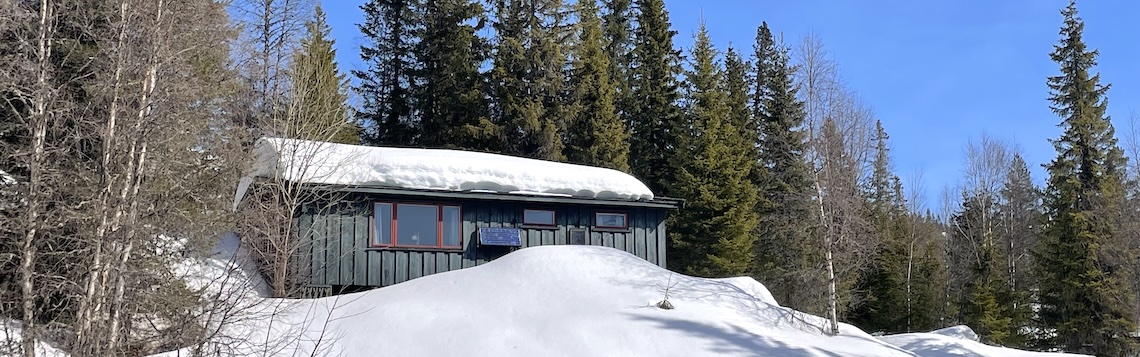 Eksisterende hytte på tomt